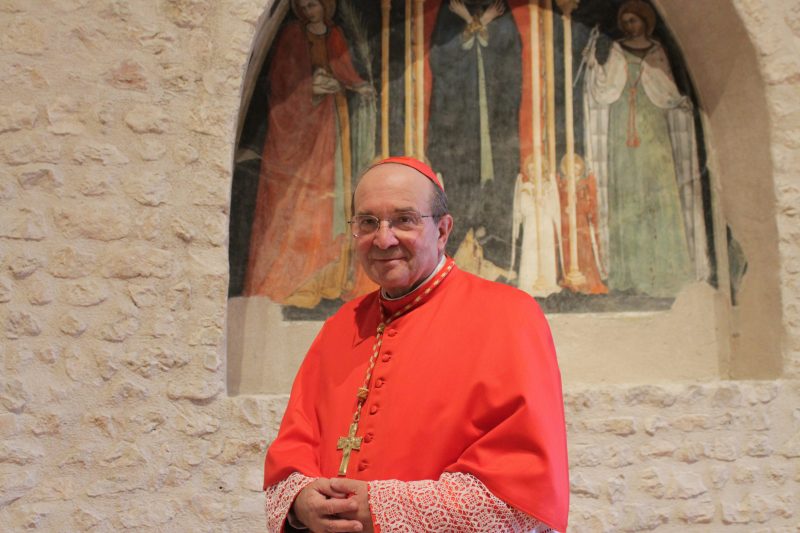 Cardinale Giuseppe Petrocchi